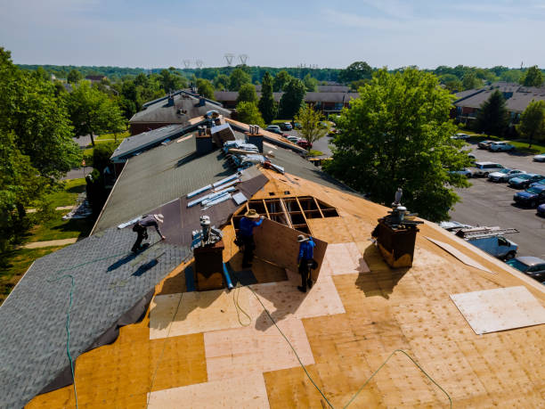 Best Metal Roofing Contractor  in Harper, KS